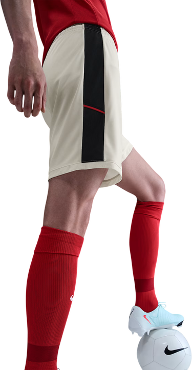 Šortky Nike Dri-FIT Academy 25 Shorts Béžová | hj3796-133, 1