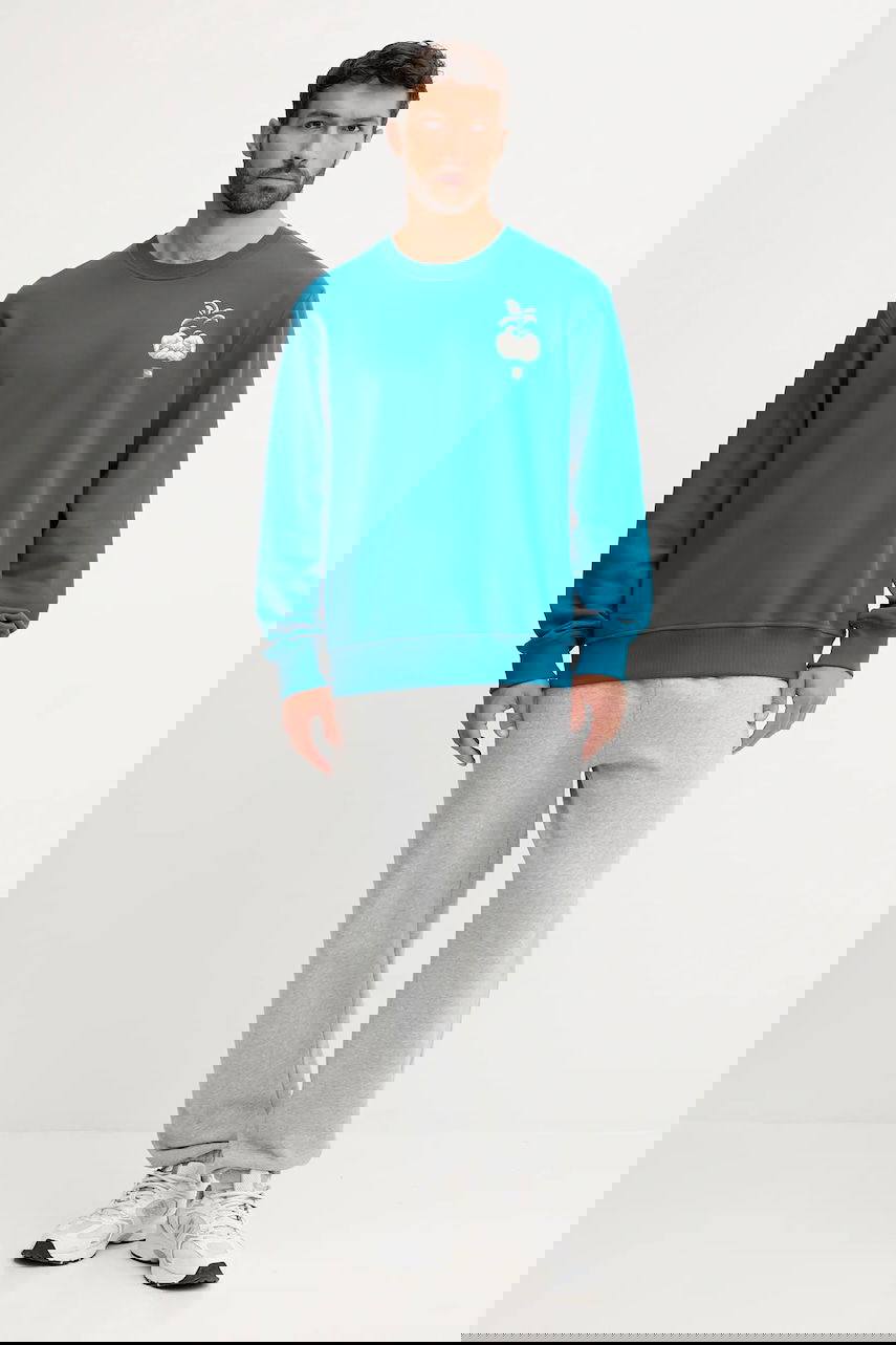 Mikina The North Face Connect Relaxed Fit Crewneck Sweatshirt with Grow Your Own Way Graphic Print Tyrkysová | NF0A8E3ZBSI1, 1