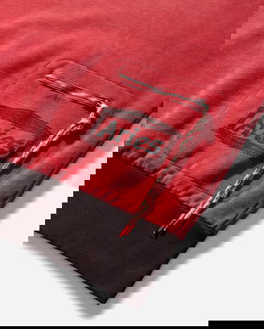 Mikina Aries Sunbleached Premium Temple Sports Hoodie Rôznofarebný | AR2002604 Red, 3