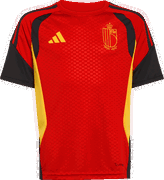 Belgium Tiro 26 Training Jersey