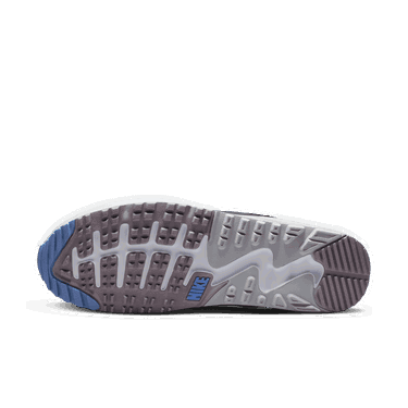 Tenisky a topánky Nike Air Max 90 Fialová | DQ4128-155, 2