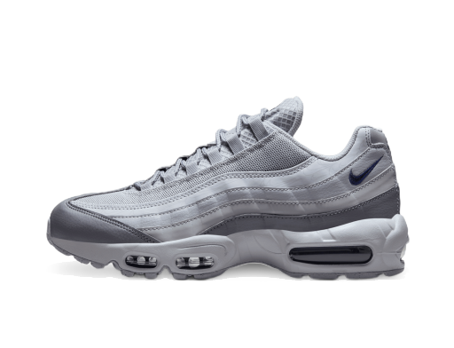 Tenisky a topánky Nike Air Max 95 Šedá | FD0663-001