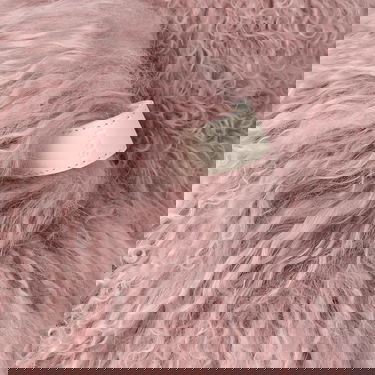 Tenisky a topánky UGG Classic Short Fluff Momma Boot Sheepskin Ružová | 1180050-FAWN, 4