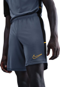 Dri-FIT Academy 25 Short