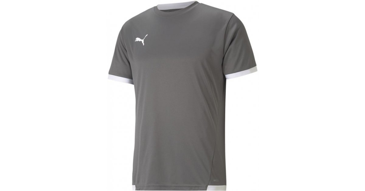 Dres Puma teamLIGA Jersey Šedá | 70491713, 1