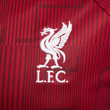 Dres Nike Dri-FIT Liverpool FC Academy Pro Pre-Match Football Jersey Červená | DX3826-688, 2