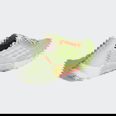 Tenisky a topánky adidas Performance Terrex Agravic Flow 2.0 GTX Zelené | H03383, 1