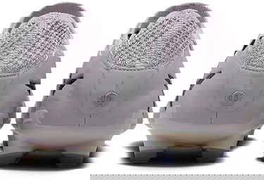 Tenisky a topánky Nike LEGEND 10 ELITE FG AS Šedá | fq3250-001, 5