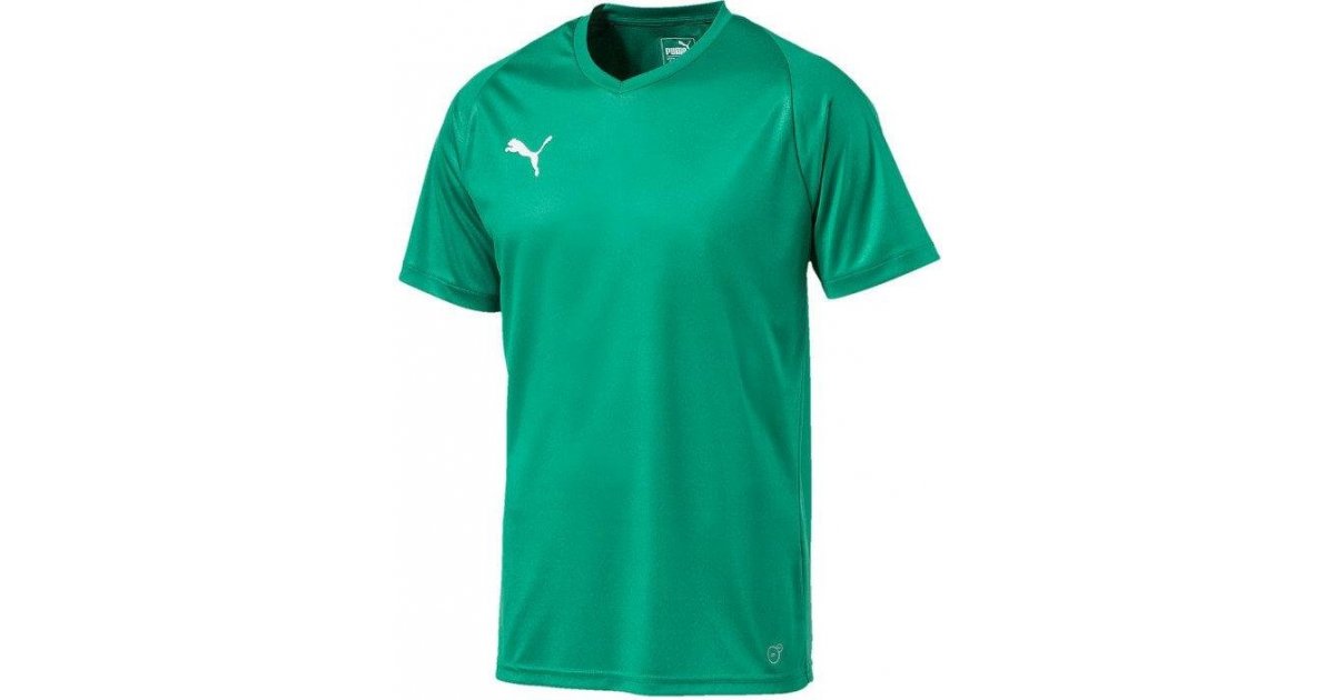 Dres Puma Liga Core Jersey Zelené | 703509-05, 1