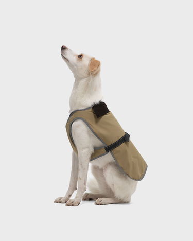 Kabáty Barbour Barbour Dog Monmouth Corduroy Collar Coat Béžová | DCO0045BE71, 2