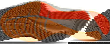 Tenisky a topánky Nike Air Zoom Winflo 8 Čierna | cw3419-010, 1