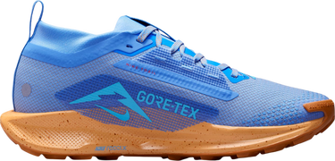 Tenisky a topánky Nike Pegasus Trail 5 GORE-TEX Modrá | fq0912-401, 2