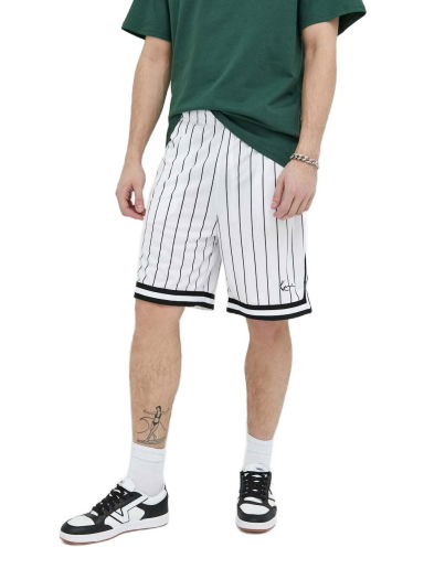 Small Signature Pinstripe Mesh Shorts