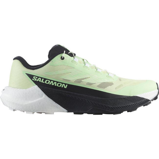 Tenisky a topánky Salomon Pulsar Zelené | L47973600, 0