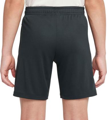 Šortky Nike Chelsea FC Strike Dri-FIT Shorts Čierna | hj7876-347, 1