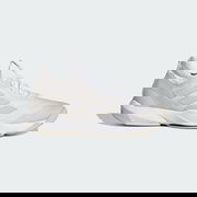 Rapidmove ADV Trainer