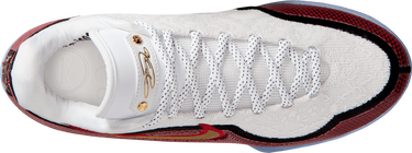 Tenisky a topánky Nike LeBron XXIII Rôznofarebný | hj5629-100, 3