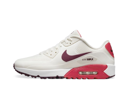 Tenisky a topánky Nike Air Max 90 G Šedá | CU9978-105