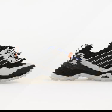 Tenisky a topánky adidas Performance Terrex Skychaser GORE-TEX Hiking Shoes Šedá | IH2799, 2