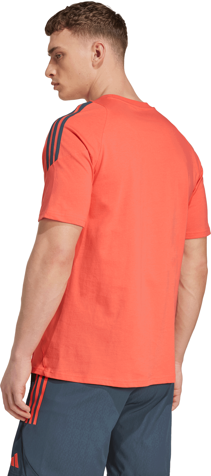 Tričko adidas Originals FC Bayern 2025/26 Tiro24 Competition Sweat Tee Oranžová | jn5613, 1