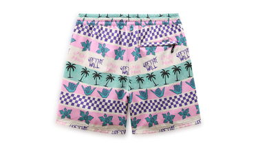 Šortky Vans Stranger Things x California Stripe Vollyshort Rôznofarebný | VN0007RUPNK, 2
