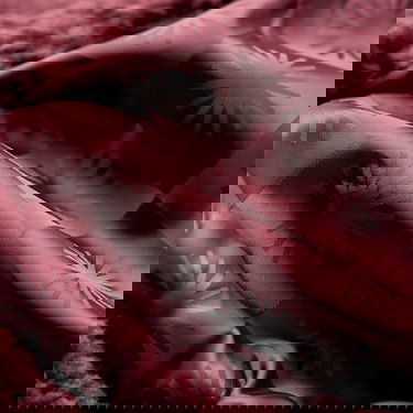 Bunda UGG Frankie Cropped Sherpa Trucker Jacket Vínová | 1171459-WGRP, 3