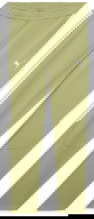 Tepláky Puma teamEVOSTRIPE Track Pants Zelené | 659948-40, 0