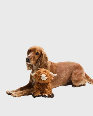 Hry Barbour Highland Cow Plush Toy Hnedá | DAC0114BR11, 1