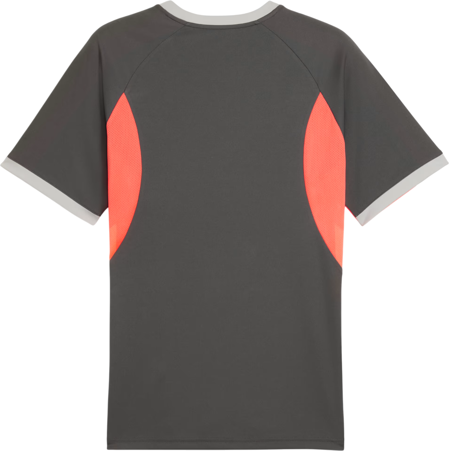 Dres Puma Individualliga Graphic Jersey Rôznofarebný | 659924-10, 1
