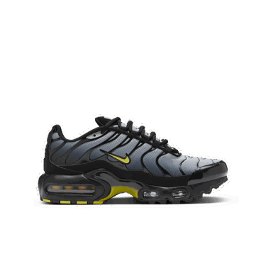 Tenisky a topánky Nike Air Max Plus Šedá | CD0609-033, 2