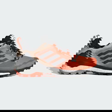 Tenisky a topánky adidas Performance Terrex Skychaser GRTX Hiking 2.0 "Orange" Oranžová | IE6892, 1