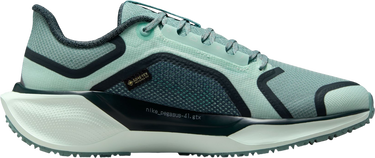Tenisky a topánky Nike Pegasus 41 GORE-TEX Tyrkysová | fq1357-003, 3