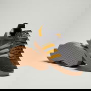 Gazelle Manchester United