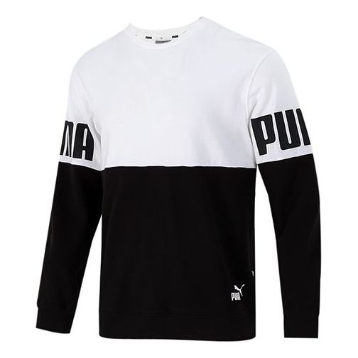 Sveter Puma PUMA Colorblock Alphabet Pullover Rôznofarebný | 847722-02