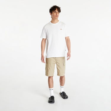 Šortky Dickies Millerville Cargo Short Béžová | DK0A4XEDKHK1, 2