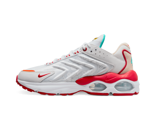 Tenisky a topánky Nike Air Max TW Šedá | FD4318-161