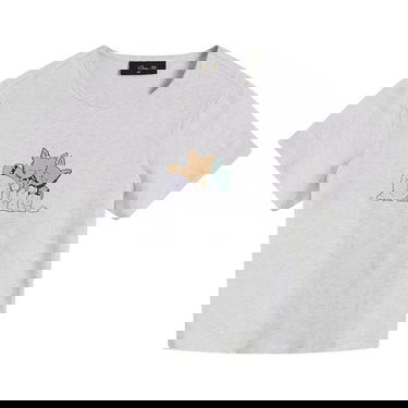 Tričko Dime Fluff T-Shirt Šedá | DIMEHO2515ASH, 0