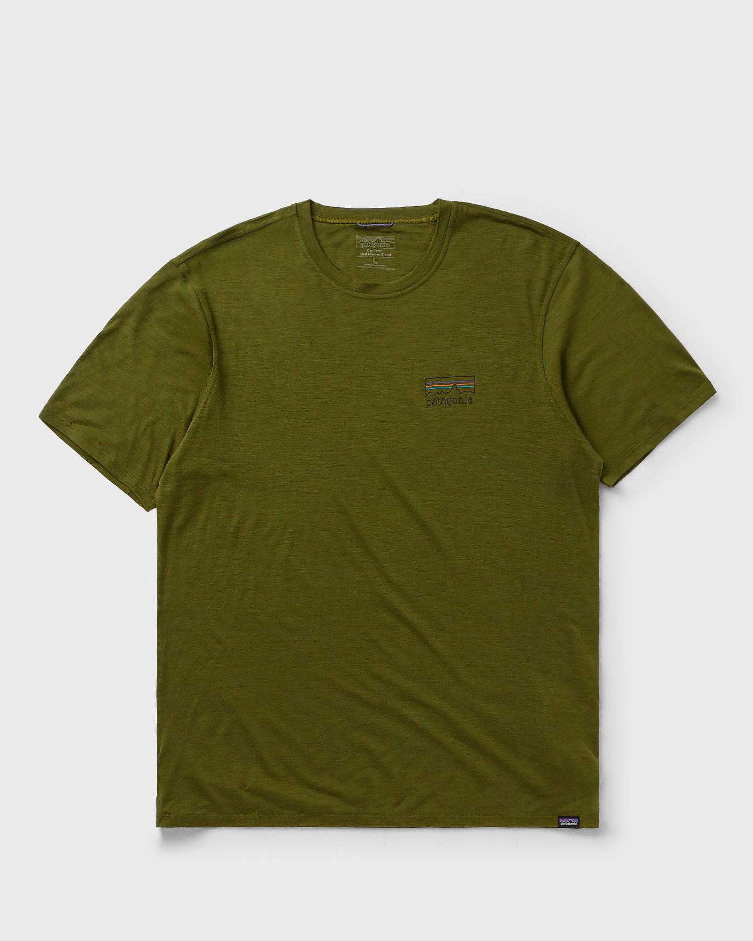 Tričko Patagonia Capilene Cool Merino Blend Graphic T-Shirt Zelené | 44590-FZPN, 0