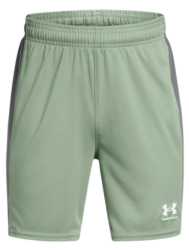 Šortky Under Armour Ch. Knit Shorts Zelené | 1379705-348, 0