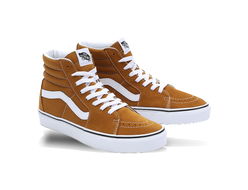 Skateboarding Vans Chaussures Color Theory Hnedá | VN0007NS1M7