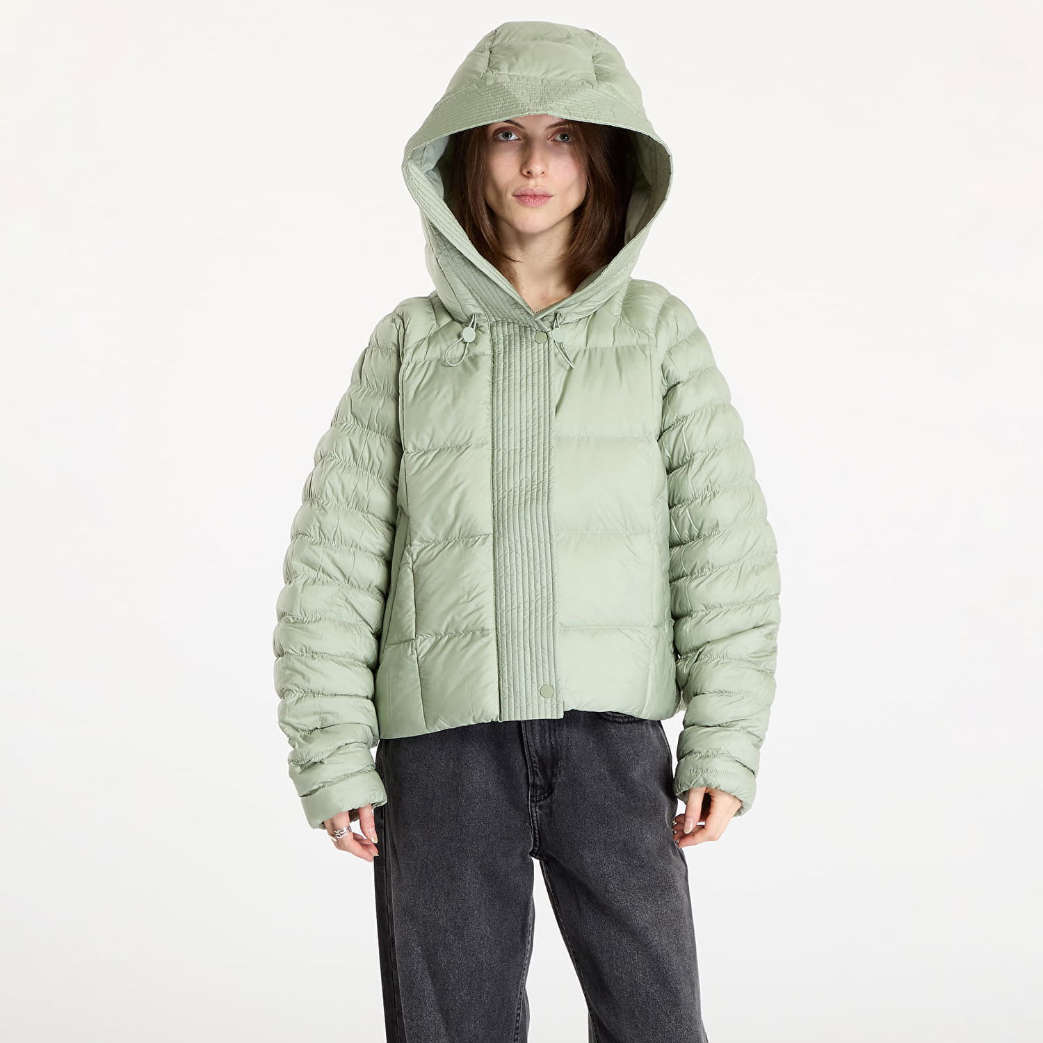 Prešívaná bunda Nike Sportswear Swoosh Puffer PrimaLoft® Therma-FIT Oversized Hooded Jacket Zelené | FB8729-370, 0