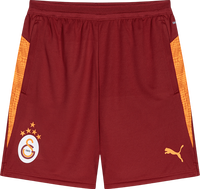 Puma GSK Training Shorts 2025/26
