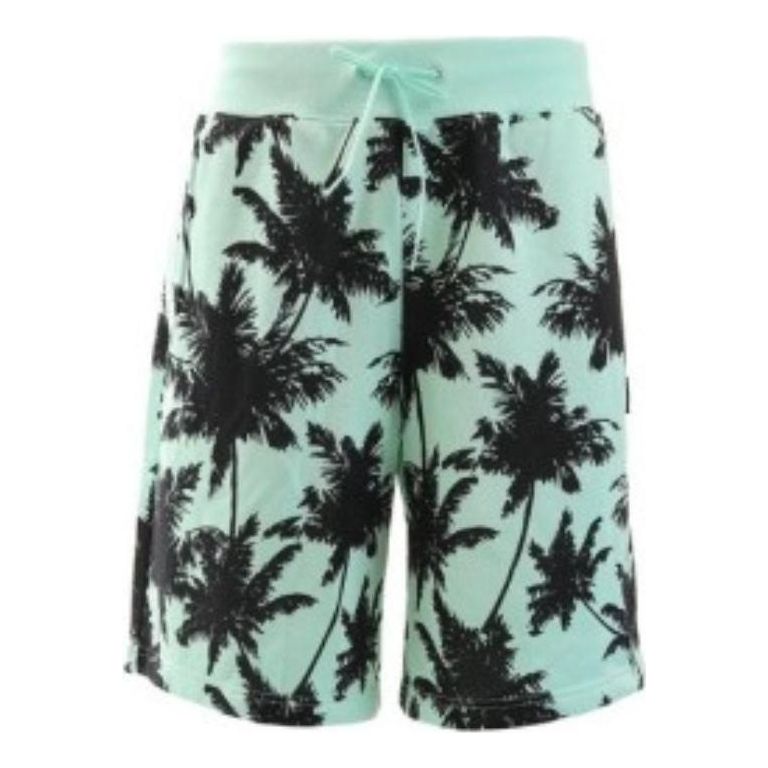 Šortky Puma Palm Tree Shorts Zelené | 578258-34