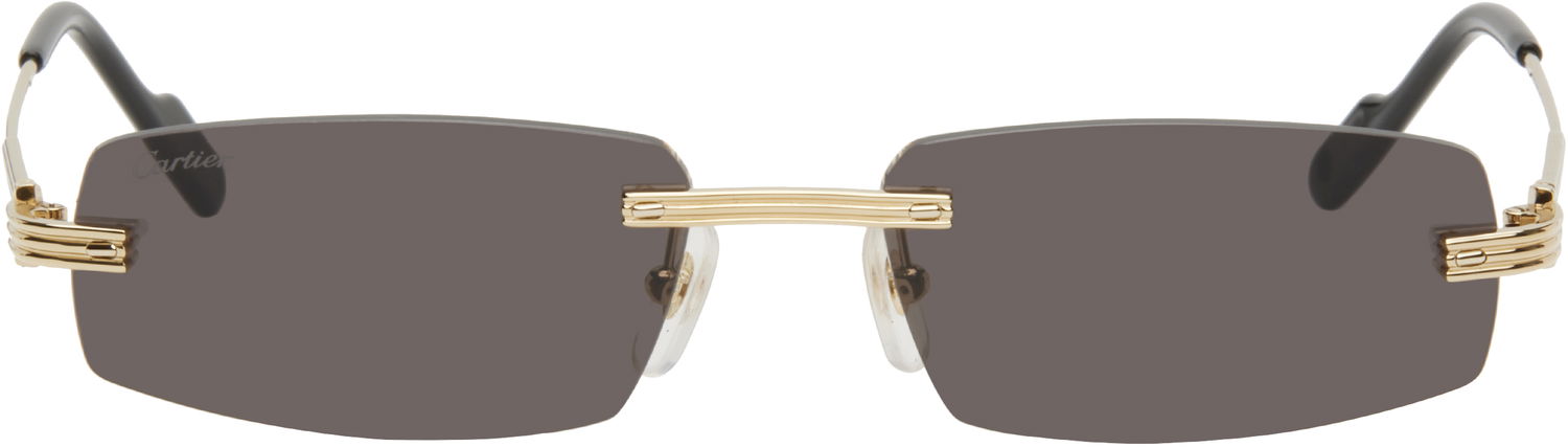 Slnečné okuliare Cartier Cartier 'Première de Cartier' Sunglasses Šedá | CT0535S-001, 0