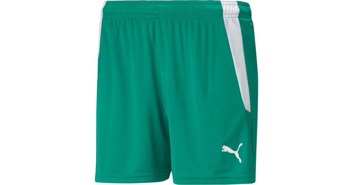 teamLIGA Shorts