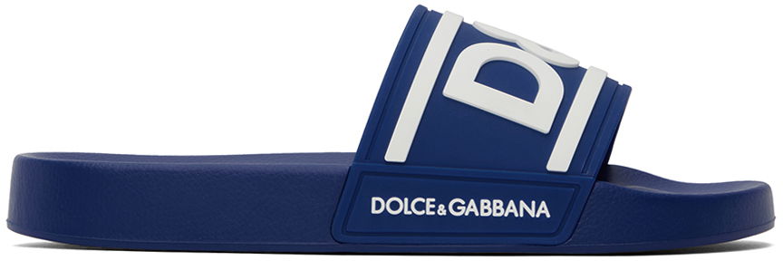 Blue Logo Slides