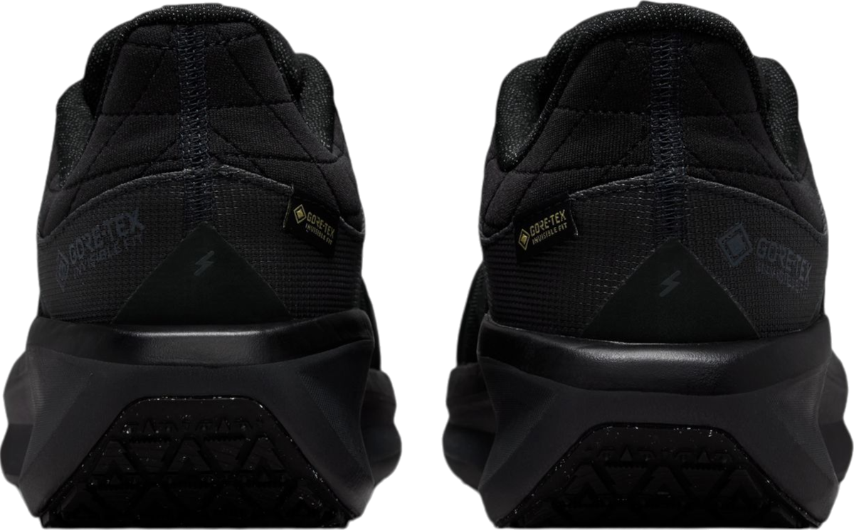 Tenisky a topánky Nike Winflo 11 GORE-TEX Čierna | fq1359-001, 1