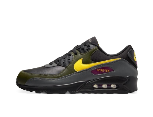 Tenisky a topánky Nike Air Max 90 GTX Čierna | DJ9779-001