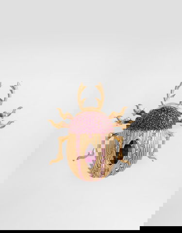 Spona Dolce & Gabbana Dolce & Gabbana Beetle-shaped Brooch With Rhinestones Rôznofarebný | WPR7A1W1111F0374, 0