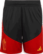 Belgium Tiro 26 Training Shorts
